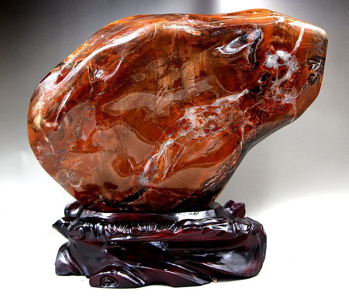 Bois fossile naturel