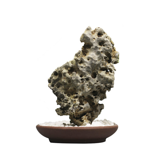 Lake bottom stone