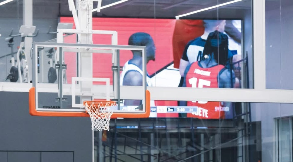 Indoor/Outdoor Flexible LED Screen Display